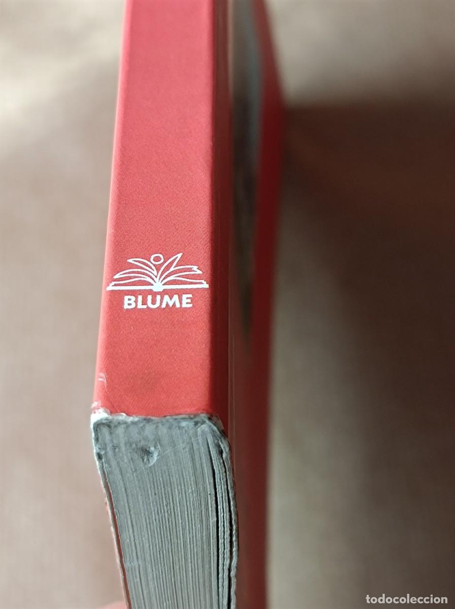 Libros de segunda mano: GU&Iacute;A DE LOS &Aacute;RBOLES SINGULARES BLUME - Foto 9