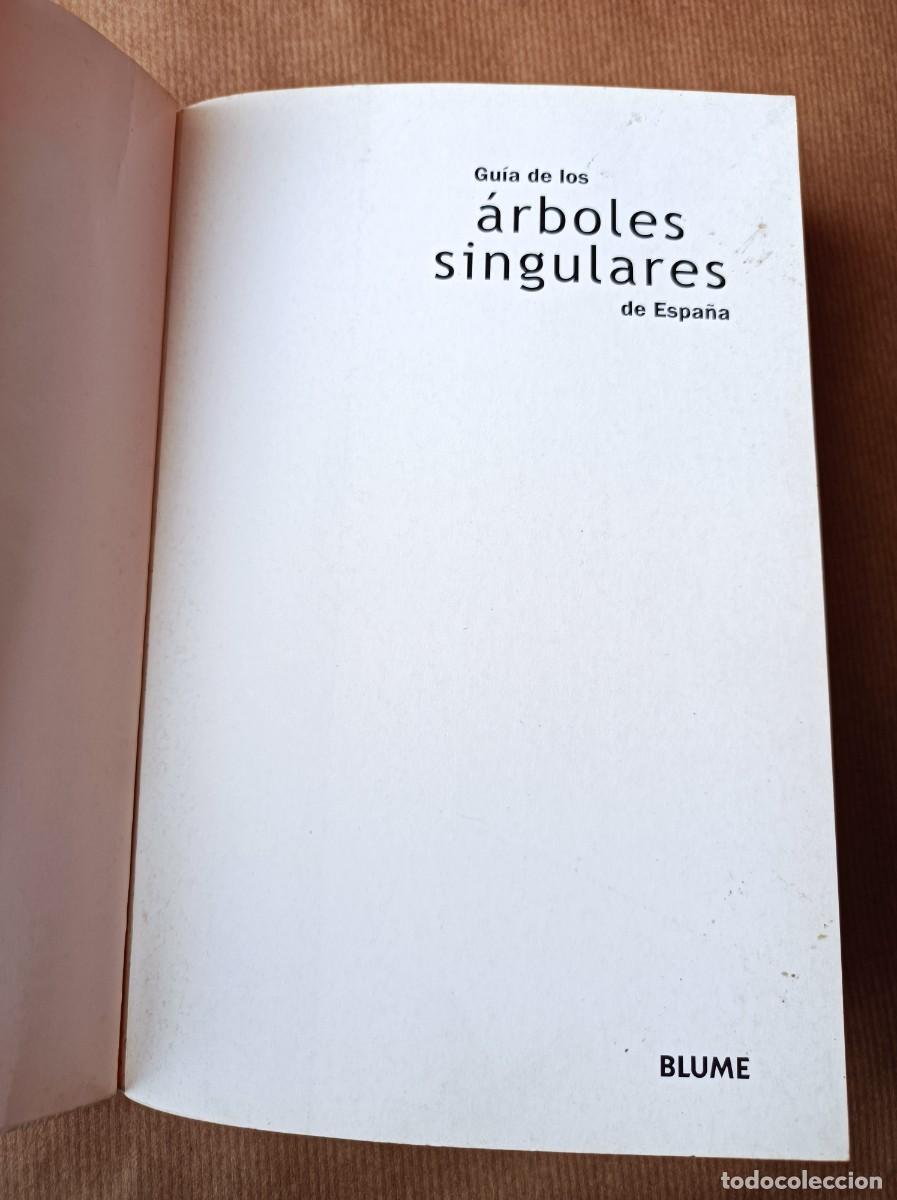 Libros de segunda mano: GU&Iacute;A DE LOS &Aacute;RBOLES SINGULARES BLUME - Foto 11