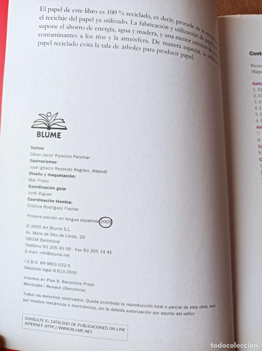 Libros de segunda mano: GU&Iacute;A DE LOS &Aacute;RBOLES SINGULARES BLUME - Foto 12