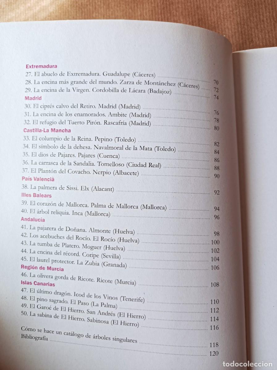 Libros de segunda mano: GU&Iacute;A DE LOS &Aacute;RBOLES SINGULARES BLUME - Foto 14