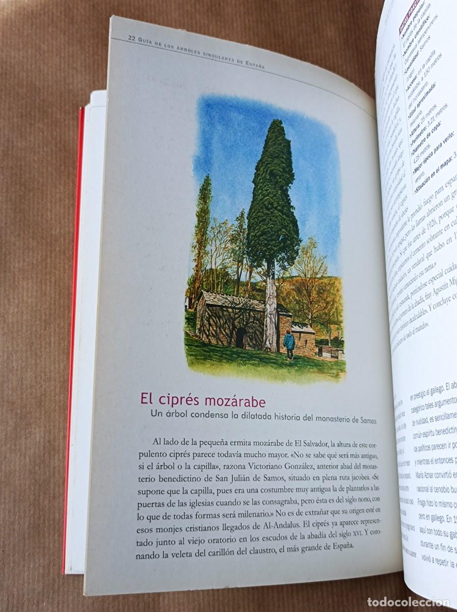 Libros de segunda mano: GU&Iacute;A DE LOS &Aacute;RBOLES SINGULARES BLUME - Foto 15