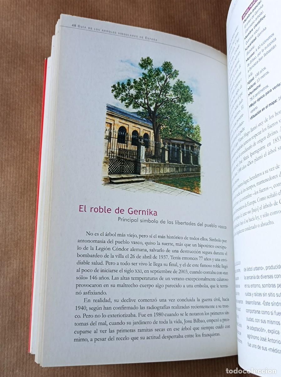 Libros de segunda mano: GU&Iacute;A DE LOS &Aacute;RBOLES SINGULARES BLUME - Foto 16