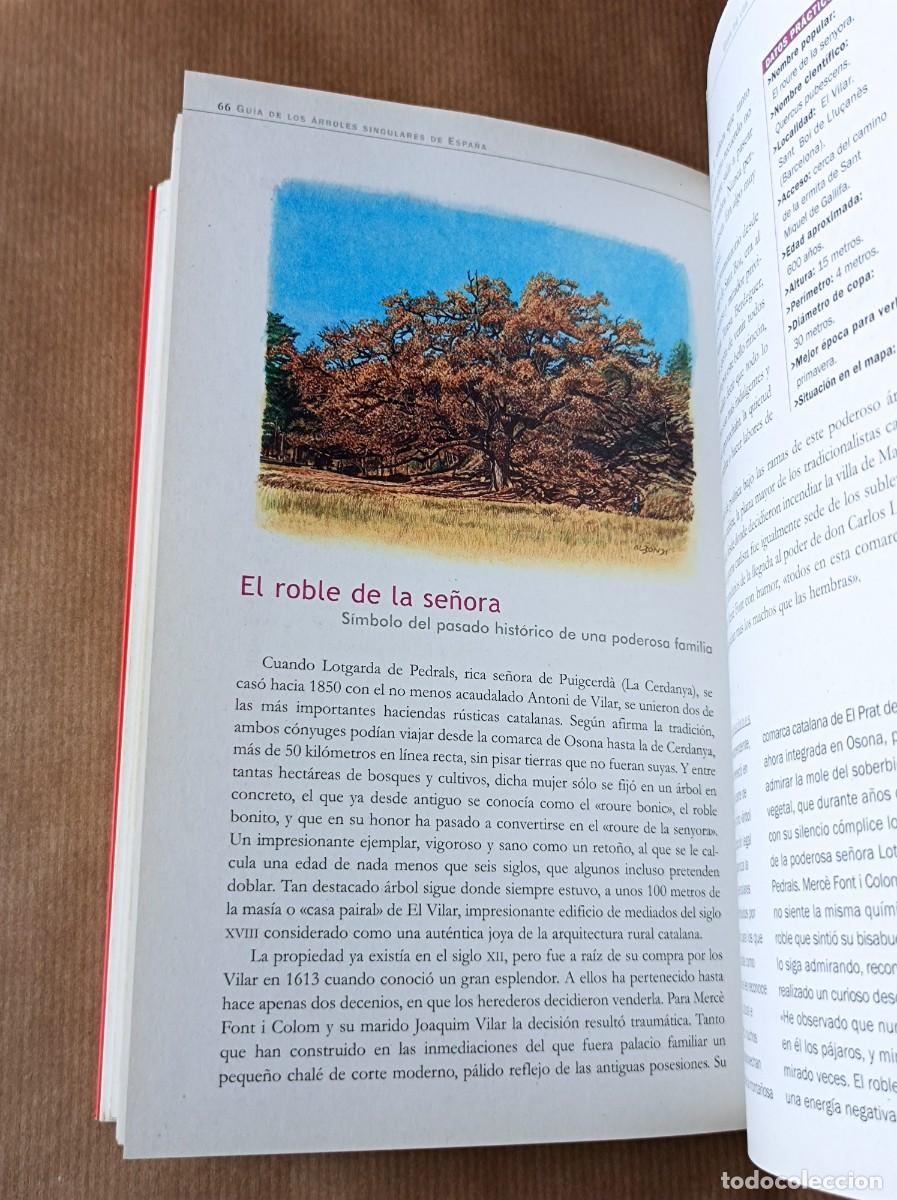Libros de segunda mano: GU&Iacute;A DE LOS &Aacute;RBOLES SINGULARES BLUME - Foto 17