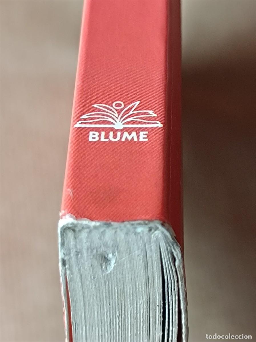 Libros de segunda mano: GU&Iacute;A DE LOS &Aacute;RBOLES SINGULARES BLUME - Foto 23