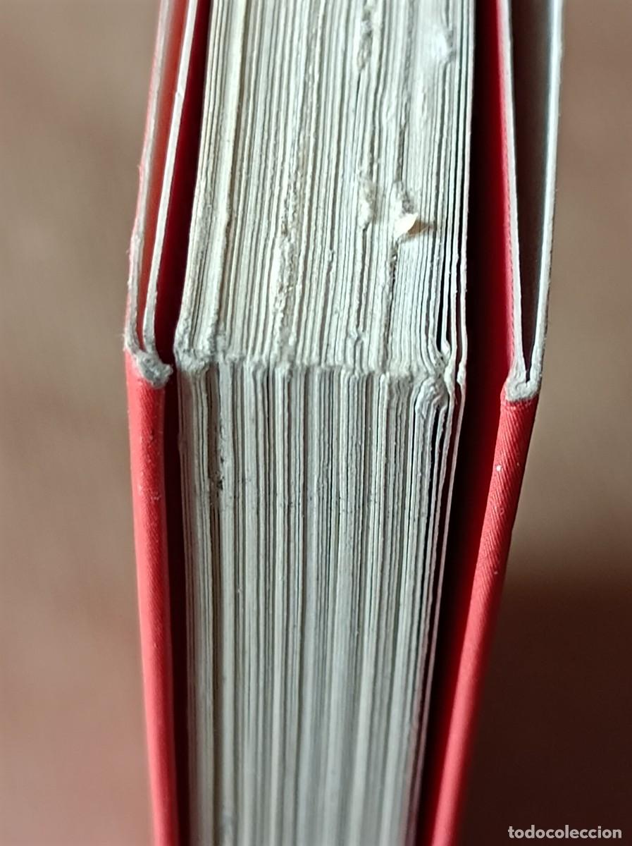 Libros de segunda mano: GU&Iacute;A DE LOS &Aacute;RBOLES SINGULARES BLUME - Foto 25