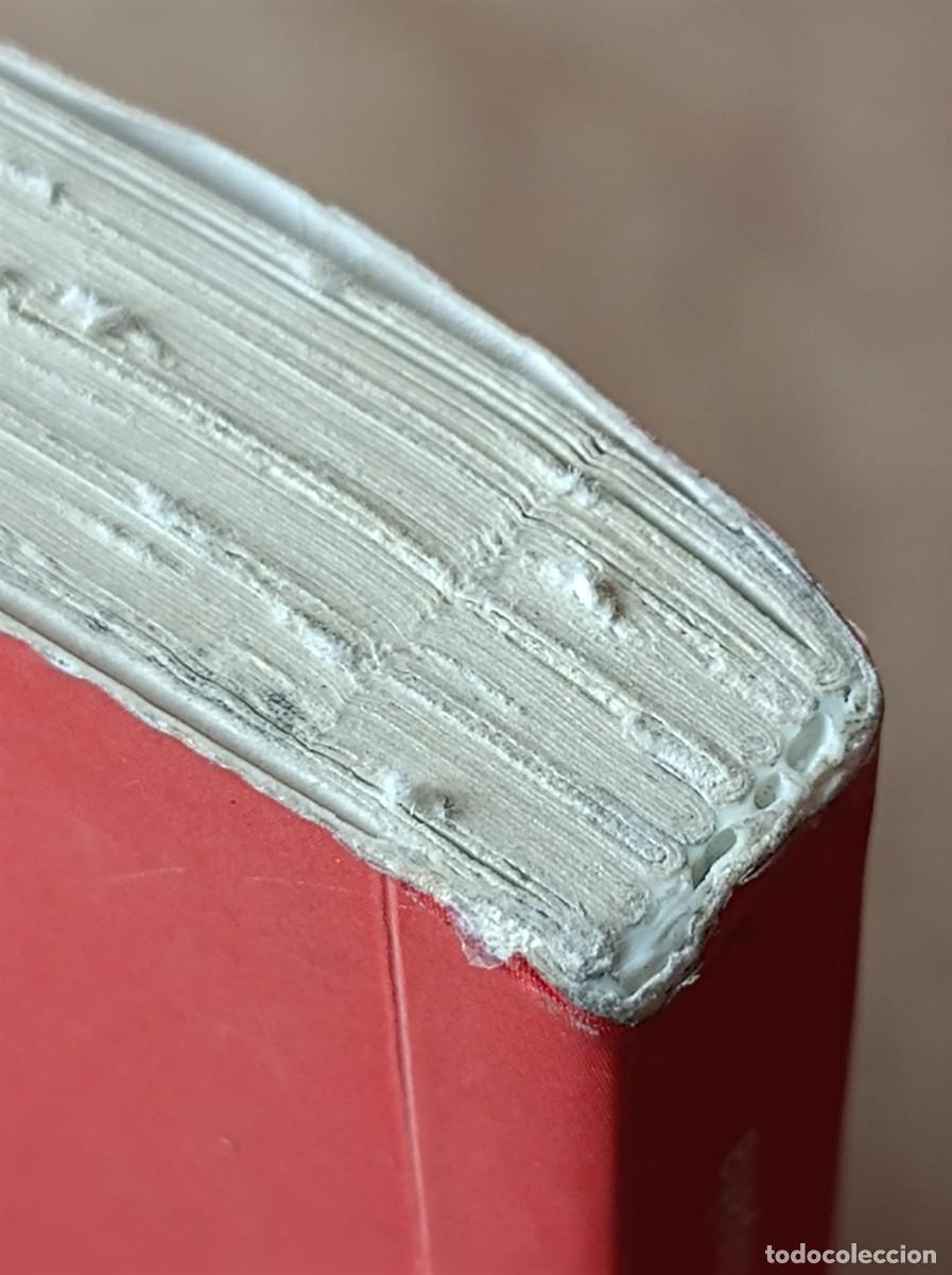 Libros de segunda mano: GU&Iacute;A DE LOS &Aacute;RBOLES SINGULARES BLUME - Foto 26