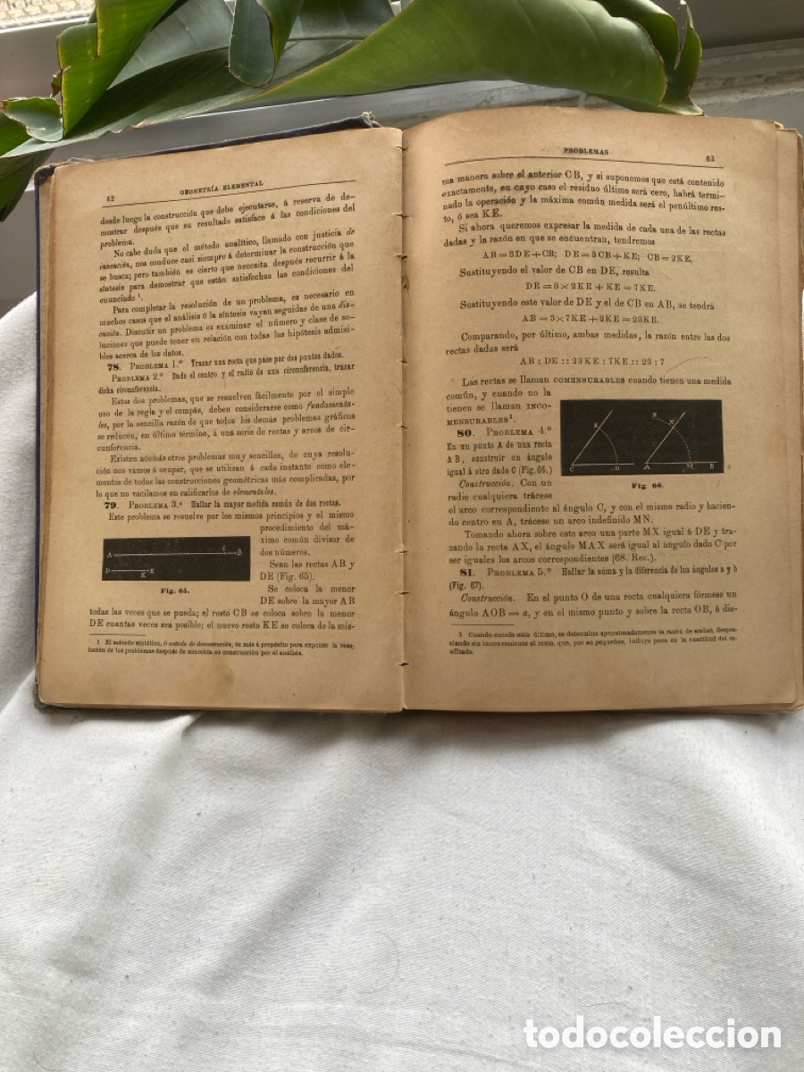 Libros de segunda mano de ciencias: CURSO De GEOMETR&Iacute;A ELEMENTAL Y TRIGONOMETR&Iacute;A RECTIL&Iacute;NEA - Foto 4