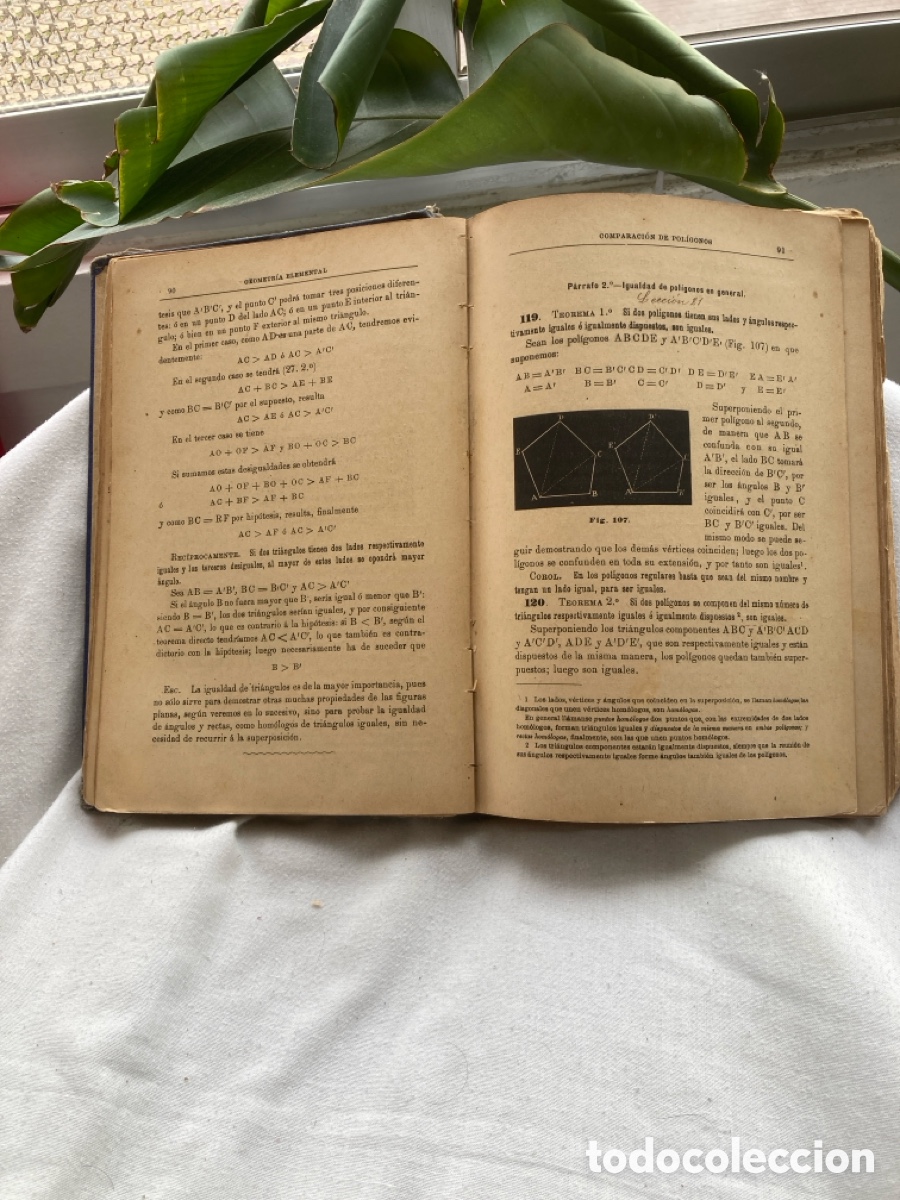 Libros de segunda mano de ciencias: CURSO De GEOMETR&Iacute;A ELEMENTAL Y TRIGONOMETR&Iacute;A RECTIL&Iacute;NEA - Foto 5