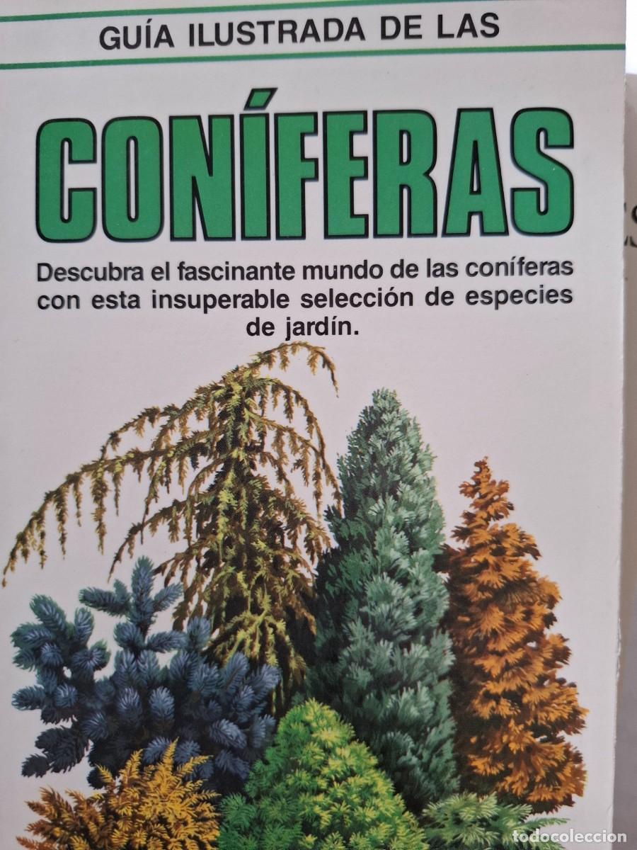 Libros de segunda mano: gu&iacute;a ilustrada de las con&iacute;feras David Papwrorth - Foto 1