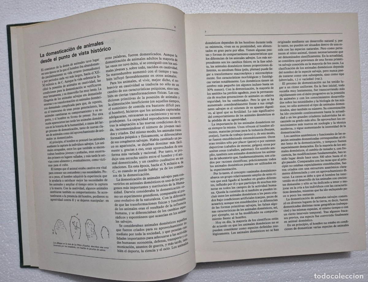 Libros de segunda mano: Atlas ilustrado de animales dom&eacute;sticos. - Foto 3