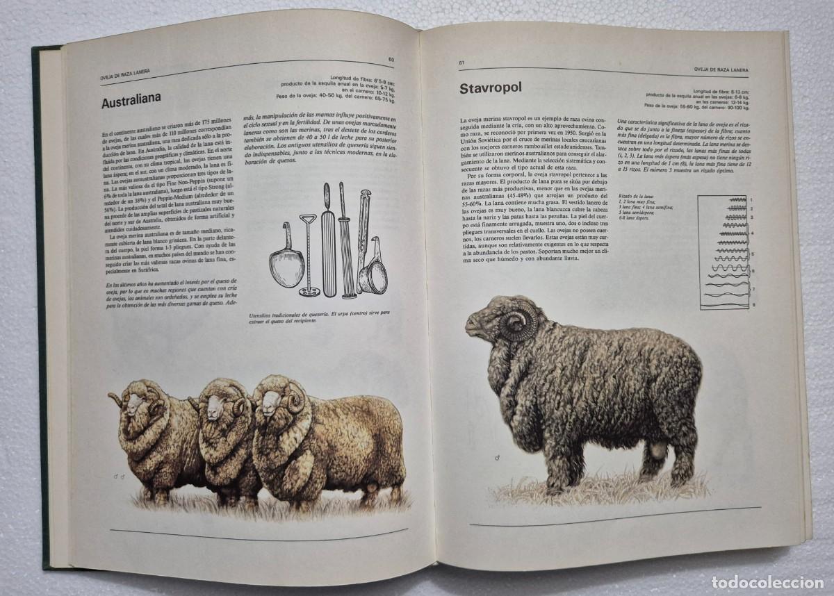 Libros de segunda mano: Atlas ilustrado de animales dom&eacute;sticos. - Foto 4