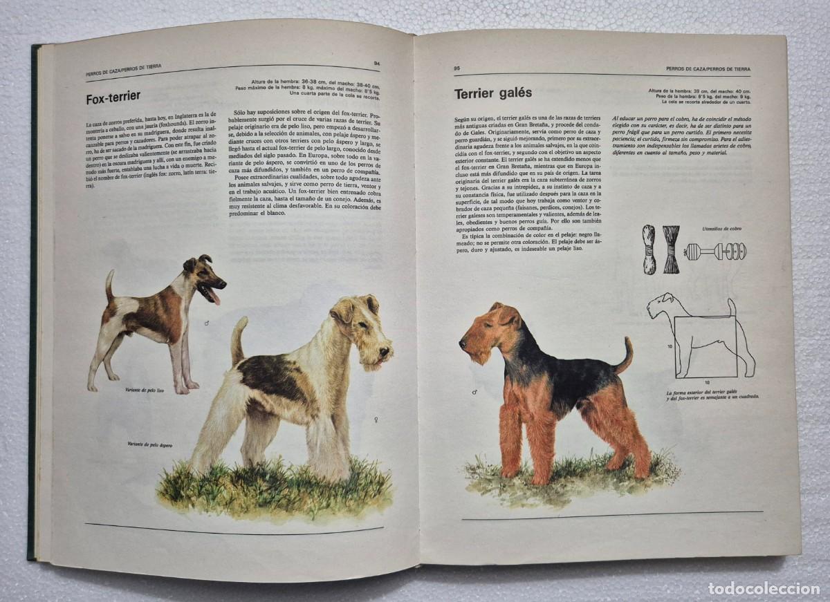 Libros de segunda mano: Atlas ilustrado de animales dom&eacute;sticos. - Foto 5
