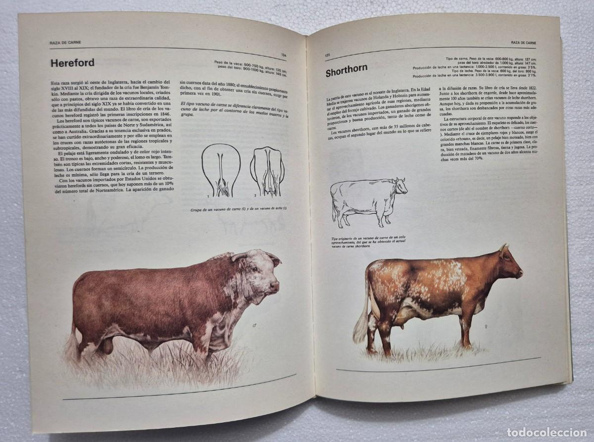 Libros de segunda mano: Atlas ilustrado de animales dom&eacute;sticos. - Foto 6