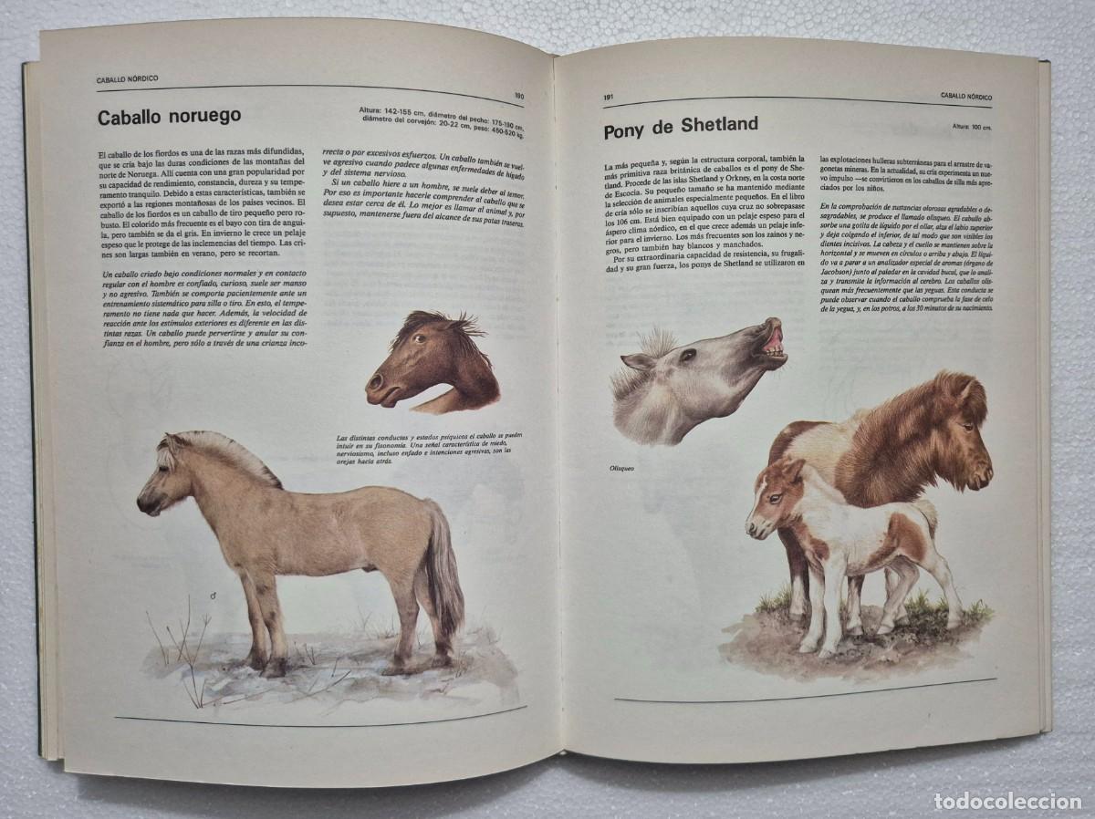 Libros de segunda mano: Atlas ilustrado de animales dom&eacute;sticos. - Foto 7