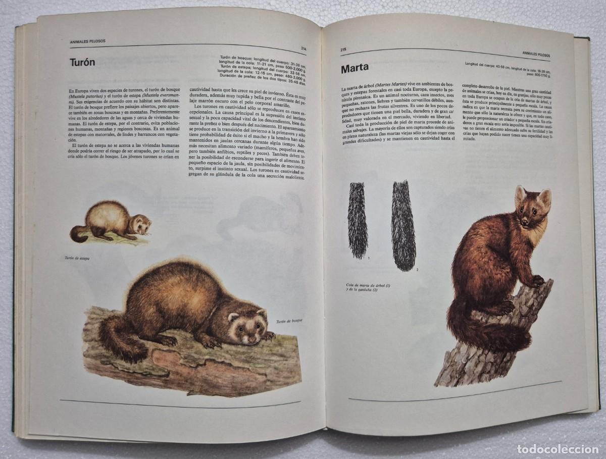 Libros de segunda mano: Atlas ilustrado de animales dom&eacute;sticos. - Foto 8