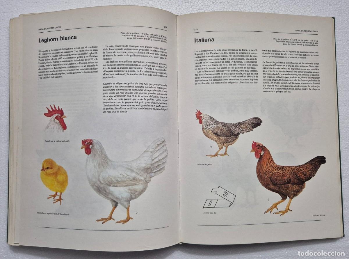 Libros de segunda mano: Atlas ilustrado de animales dom&eacute;sticos. - Foto 9