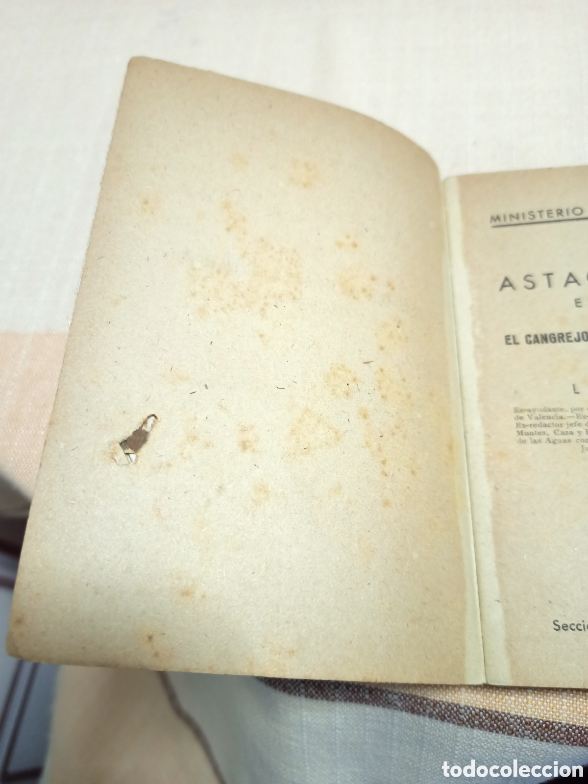 Libros de segunda mano: Antiguo libro: El cangrejo,por Luis Pardo - Foto 3