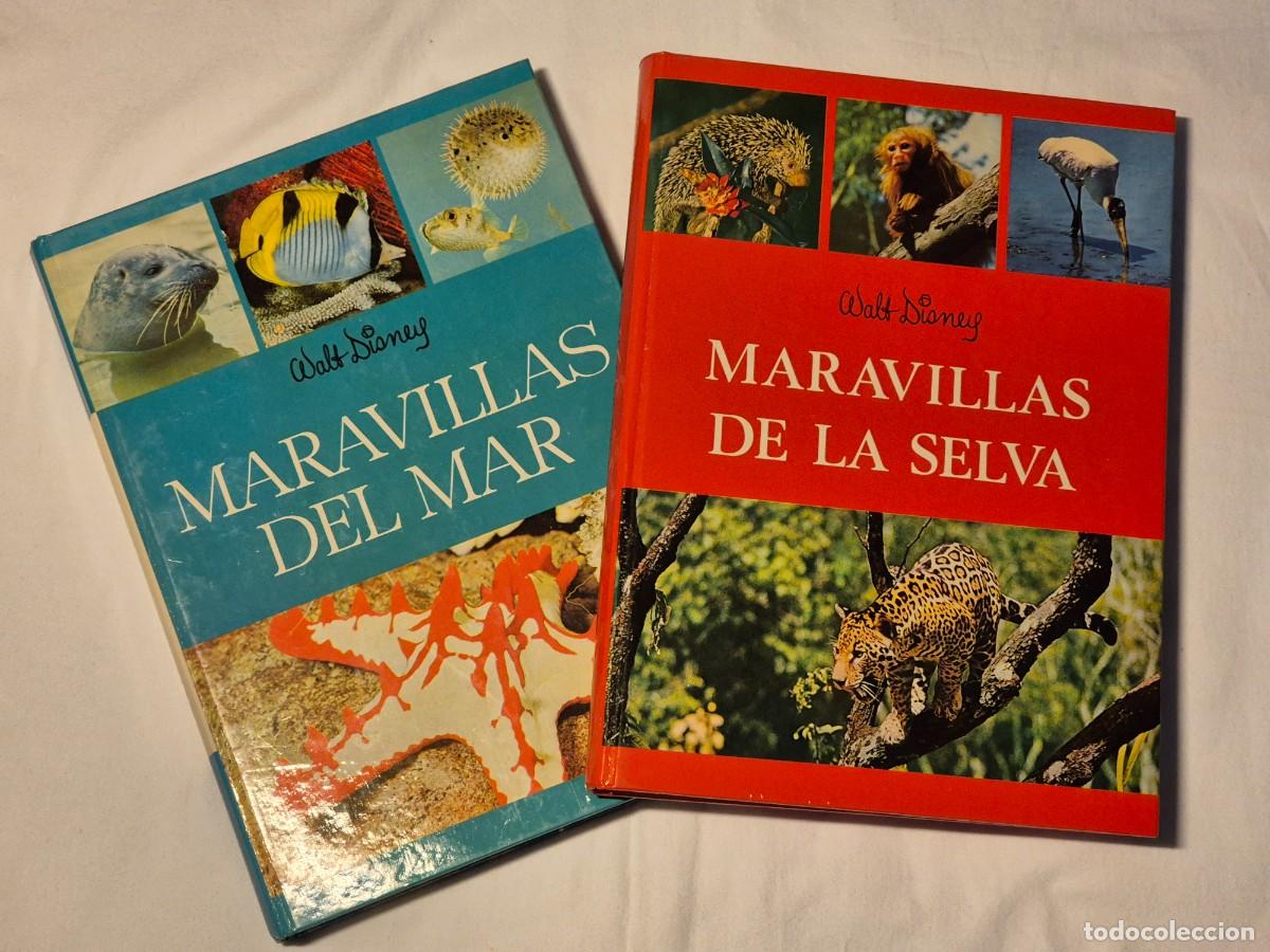 Libros de segunda mano: MARAVILLAS DEL MAR Y DE LA SELVA. WALT DISNEY. - Foto 1