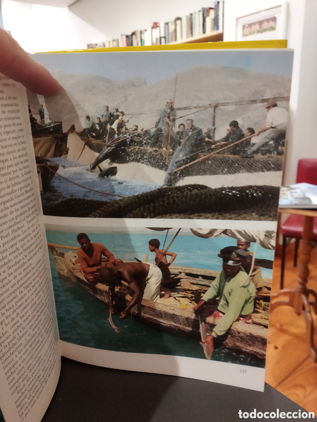 Libros de segunda mano: El gran libro del mar Montena - Foto 5