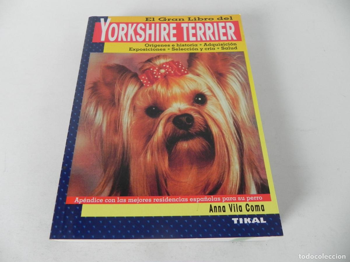 Libros de segunda mano: EL GRAN LIBRO DEL YORKSHIRE TERRIER (ANNA VILA COMA) TIKAL EDICIONES - Foto 2