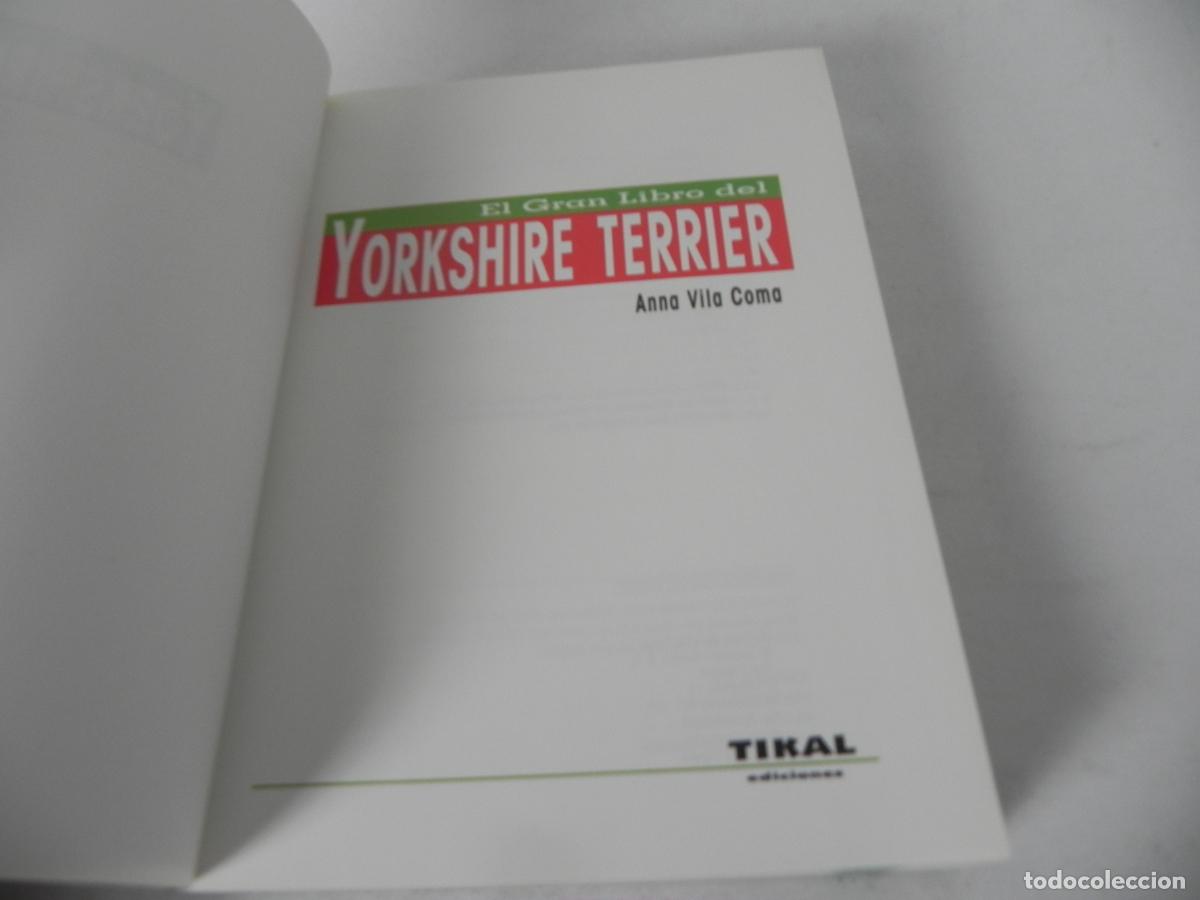 Libros de segunda mano: EL GRAN LIBRO DEL YORKSHIRE TERRIER (ANNA VILA COMA) TIKAL EDICIONES - Foto 3
