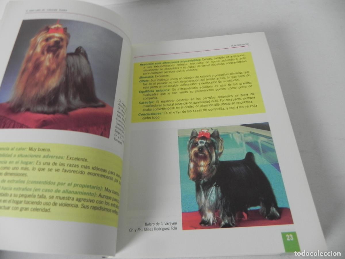 Libros de segunda mano: EL GRAN LIBRO DEL YORKSHIRE TERRIER (ANNA VILA COMA) TIKAL EDICIONES - Foto 4