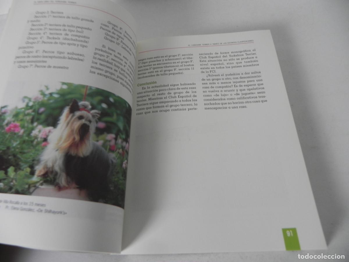 Libros de segunda mano: EL GRAN LIBRO DEL YORKSHIRE TERRIER (ANNA VILA COMA) TIKAL EDICIONES - Foto 5