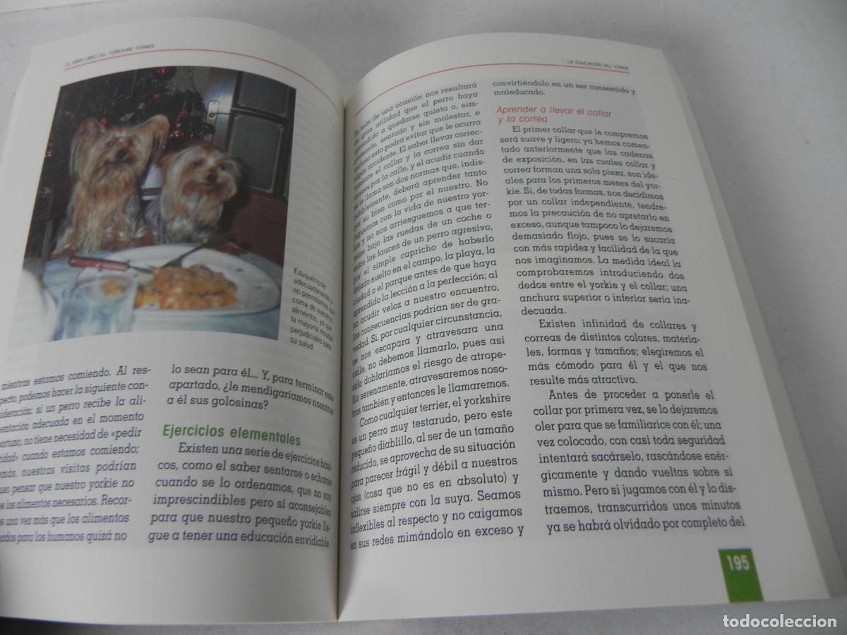 Libros de segunda mano: EL GRAN LIBRO DEL YORKSHIRE TERRIER (ANNA VILA COMA) TIKAL EDICIONES - Foto 6