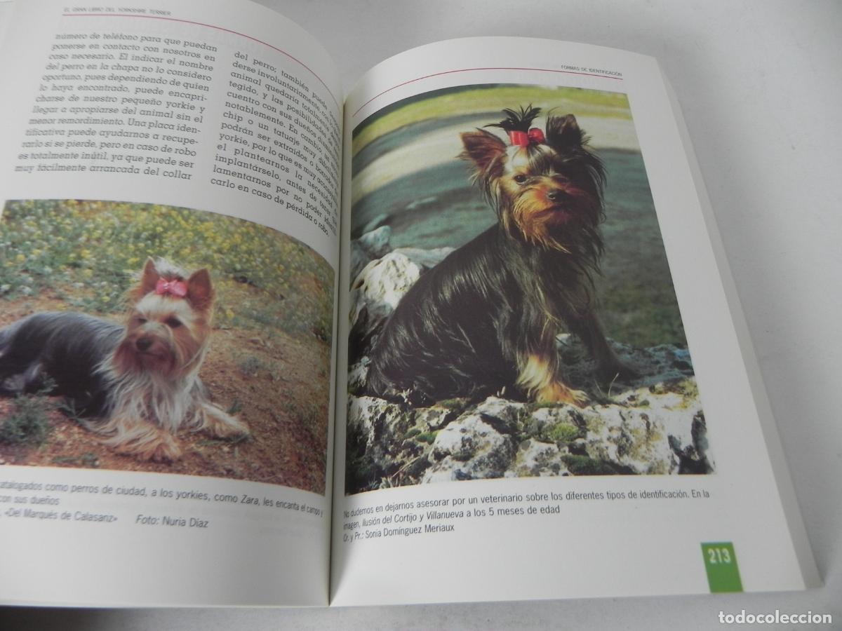 Libros de segunda mano: EL GRAN LIBRO DEL YORKSHIRE TERRIER (ANNA VILA COMA) TIKAL EDICIONES - Foto 7