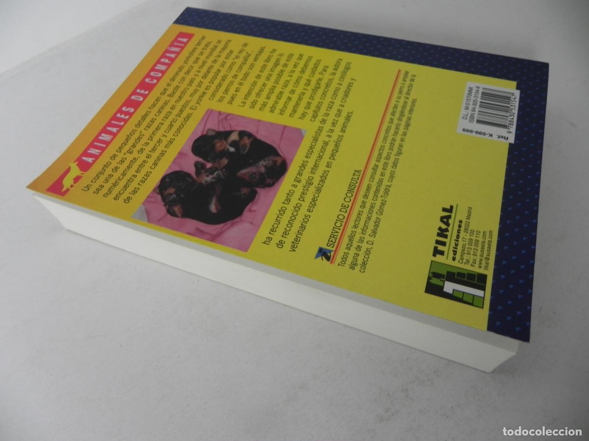 Libros de segunda mano: EL GRAN LIBRO DEL YORKSHIRE TERRIER (ANNA VILA COMA) TIKAL EDICIONES - Foto 10