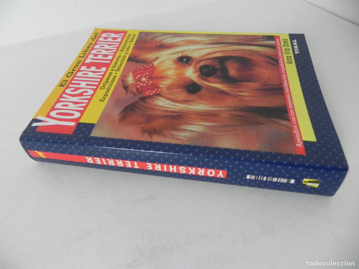Libros de segunda mano: EL GRAN LIBRO DEL YORKSHIRE TERRIER (ANNA VILA COMA) TIKAL EDICIONES - Foto 11
