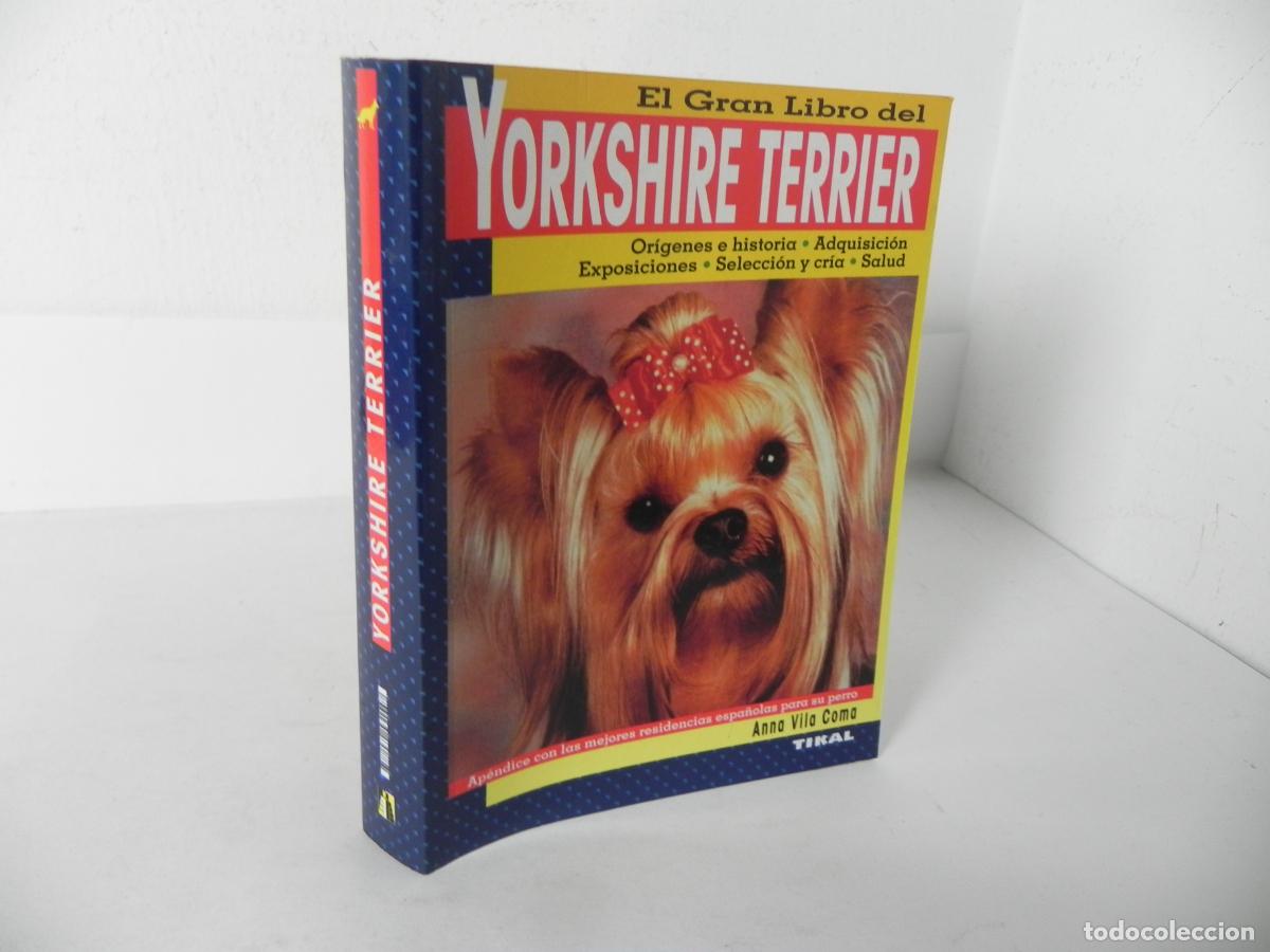 Libros de segunda mano: EL GRAN LIBRO DEL YORKSHIRE TERRIER (ANNA VILA COMA) TIKAL EDICIONES - Foto 1