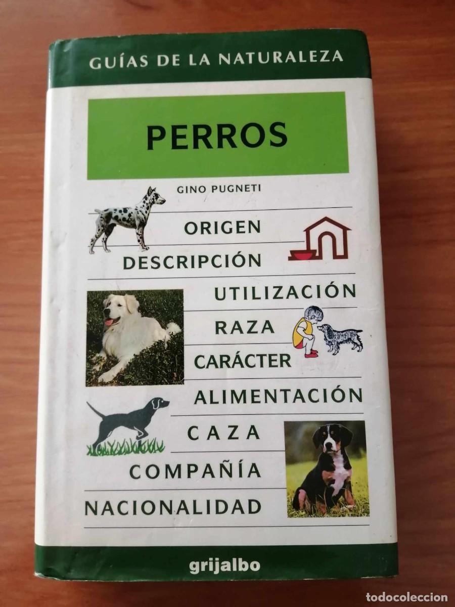 Libros de segunda mano: PERROS (GINO PUGNETI) - Foto 1