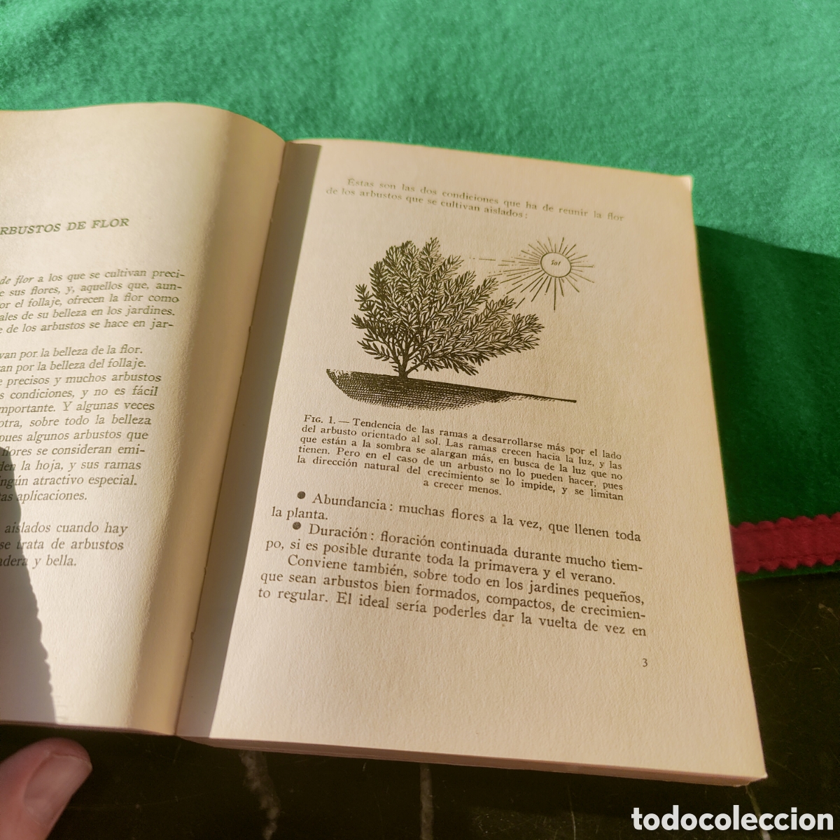 Libros de segunda mano: LOS ARBUSTOS DE FLOR. NOEL CLARASO - Foto 4
