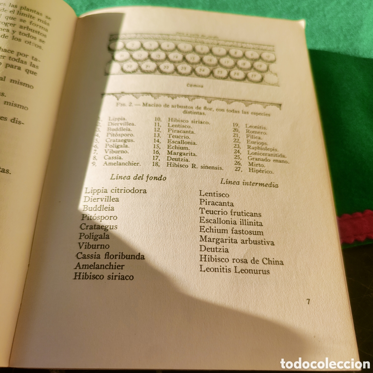 Libros de segunda mano: LOS ARBUSTOS DE FLOR. NOEL CLARASO - Foto 5