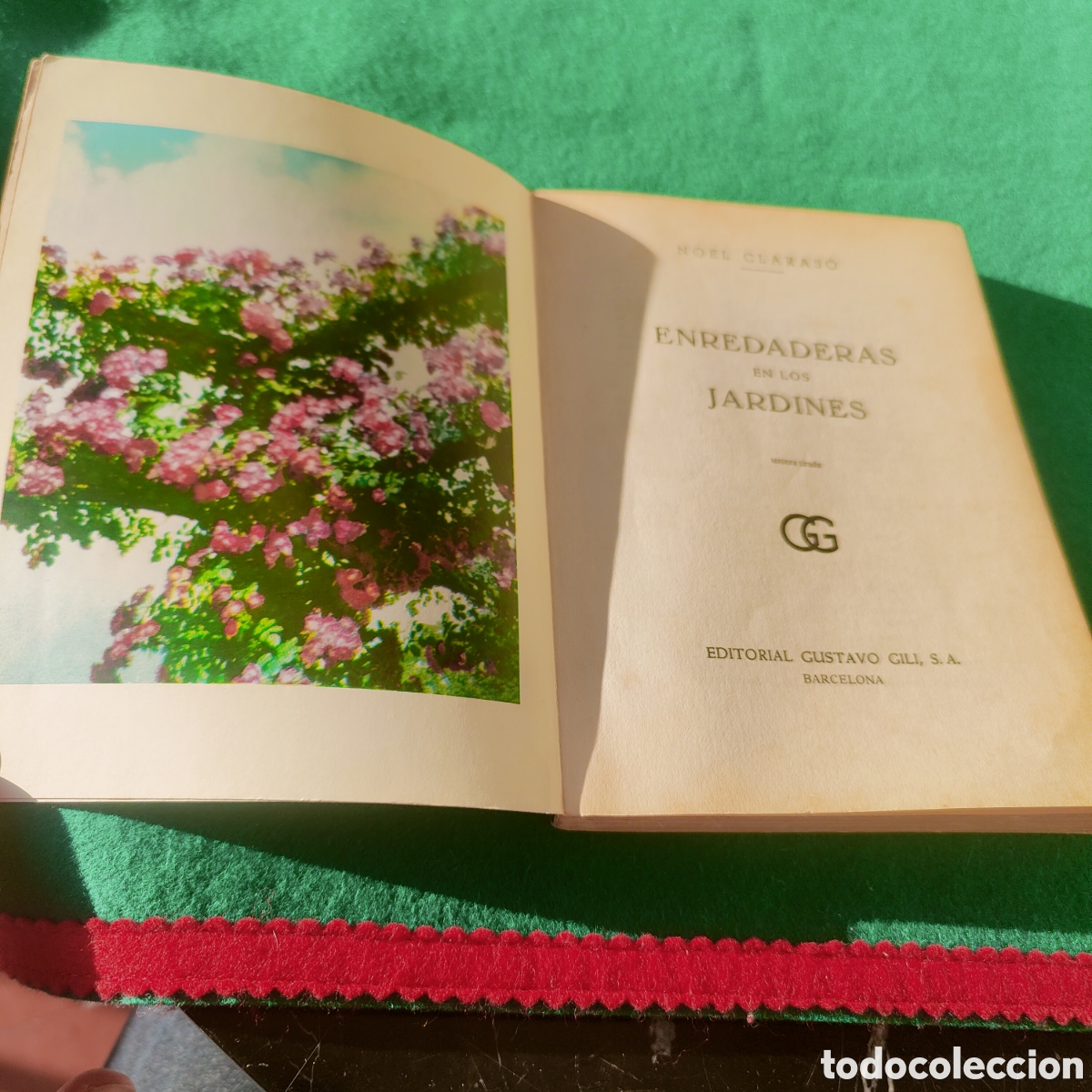 Libros de segunda mano: LAS ENREDADERAS EN LOS JARDINES. CLARASO, NOEL. - Foto 3