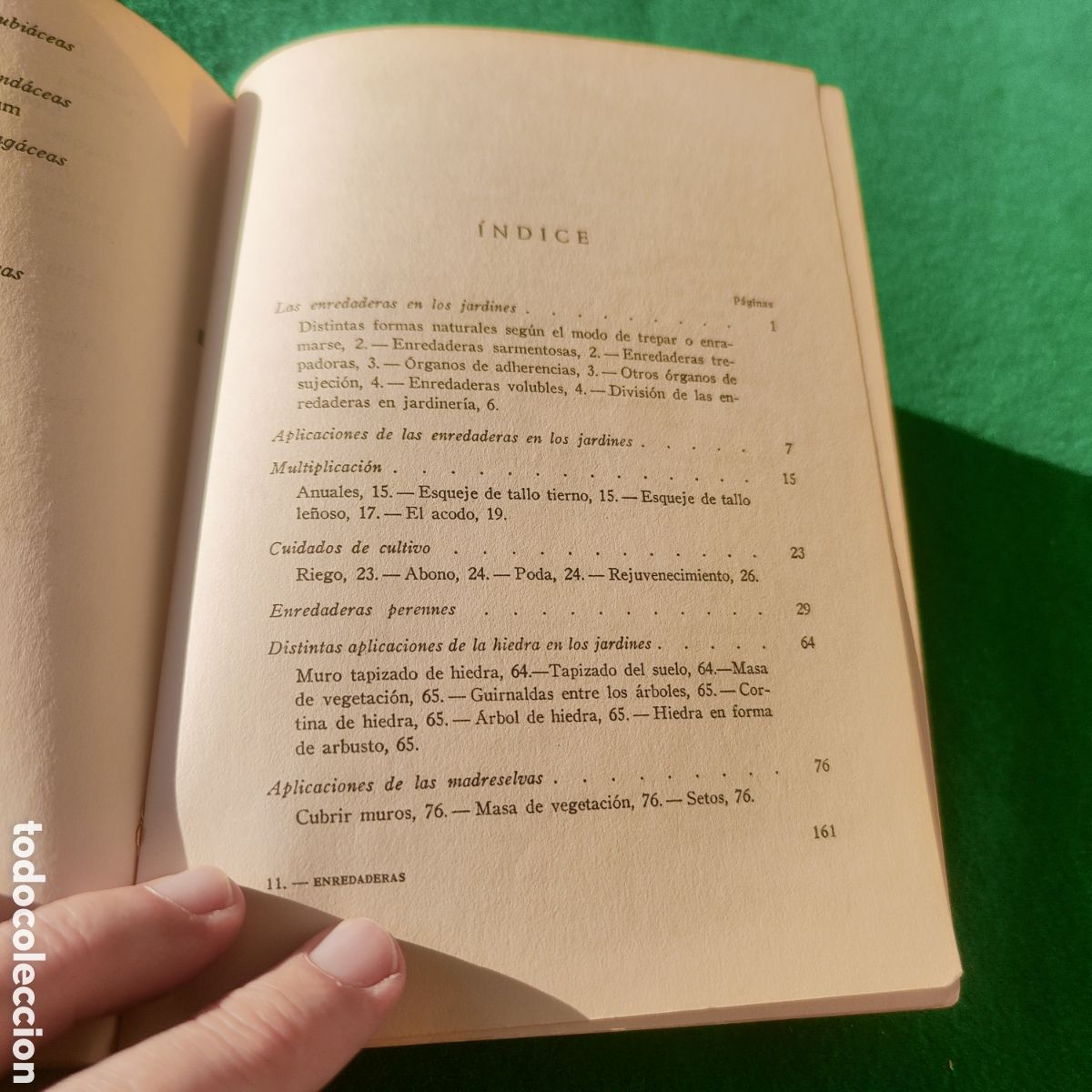 Libros de segunda mano: LAS ENREDADERAS EN LOS JARDINES. CLARASO, NOEL. - Foto 8