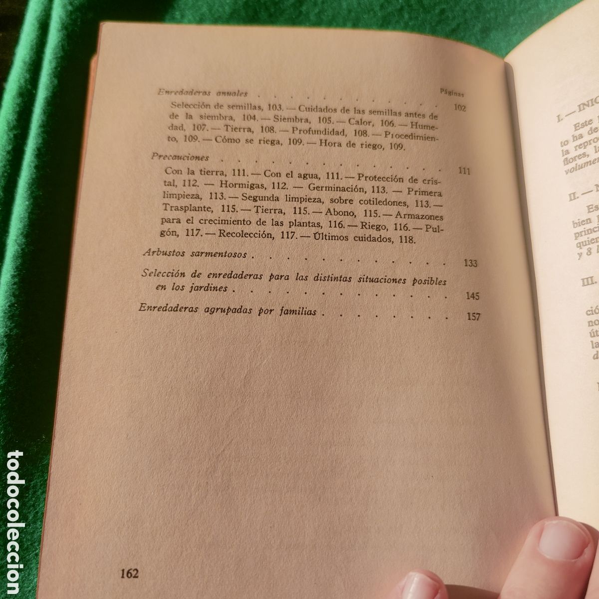 Libros de segunda mano: LAS ENREDADERAS EN LOS JARDINES. CLARASO, NOEL. - Foto 9