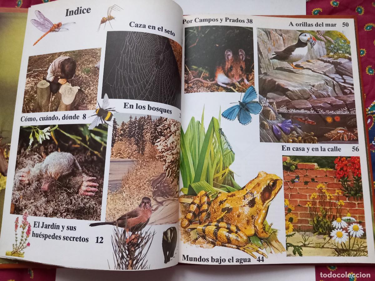 Libros de segunda mano: LIBRO LA NATURALEZA QUE NOS RODEA - Foto 3