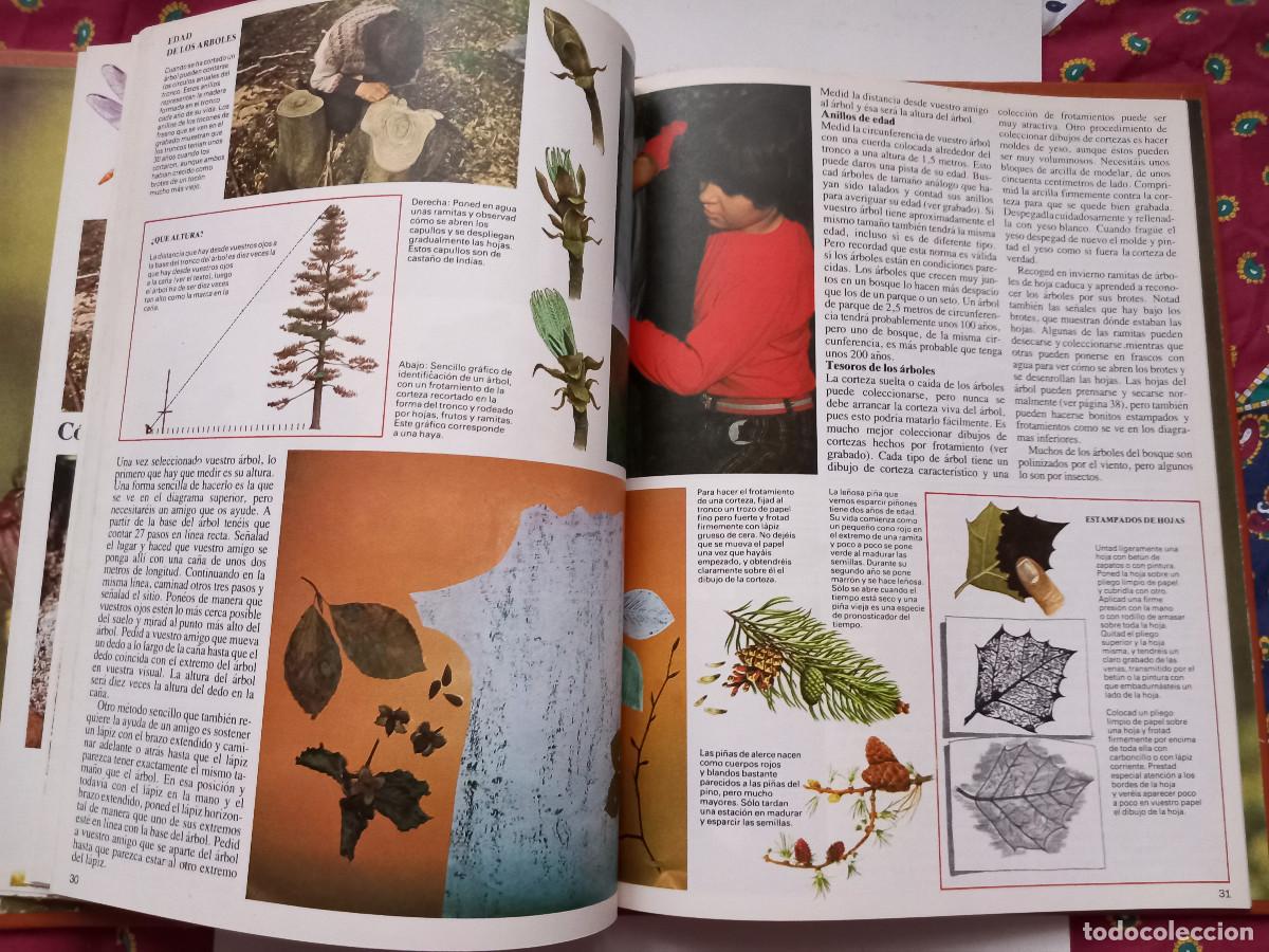 Libros de segunda mano: LIBRO LA NATURALEZA QUE NOS RODEA - Foto 4