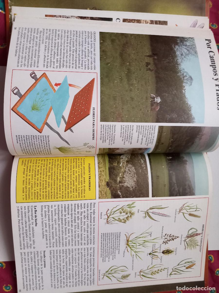 Libros de segunda mano: LIBRO LA NATURALEZA QUE NOS RODEA - Foto 5