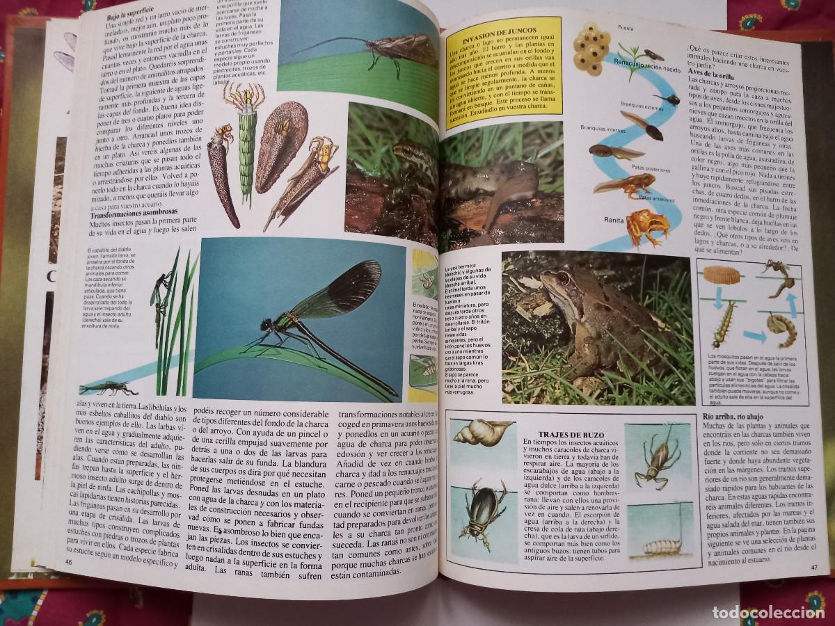 Libros de segunda mano: LIBRO LA NATURALEZA QUE NOS RODEA - Foto 6