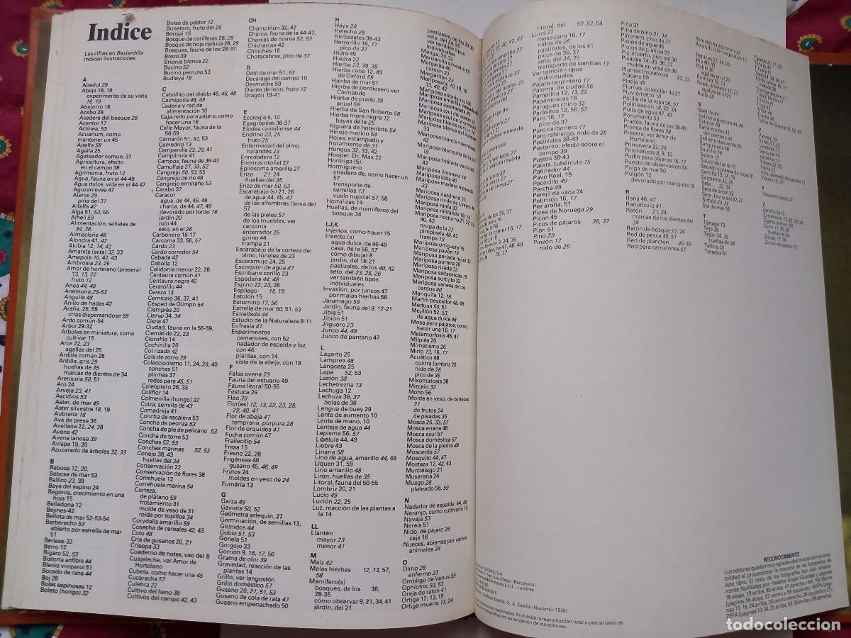Libros de segunda mano: LIBRO LA NATURALEZA QUE NOS RODEA - Foto 7