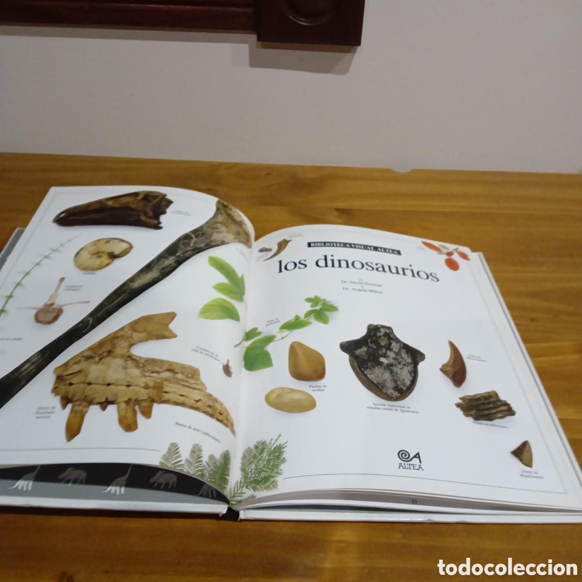 Libros de segunda mano: Los dinosaurios. Biblioteca visual altea - Foto 3