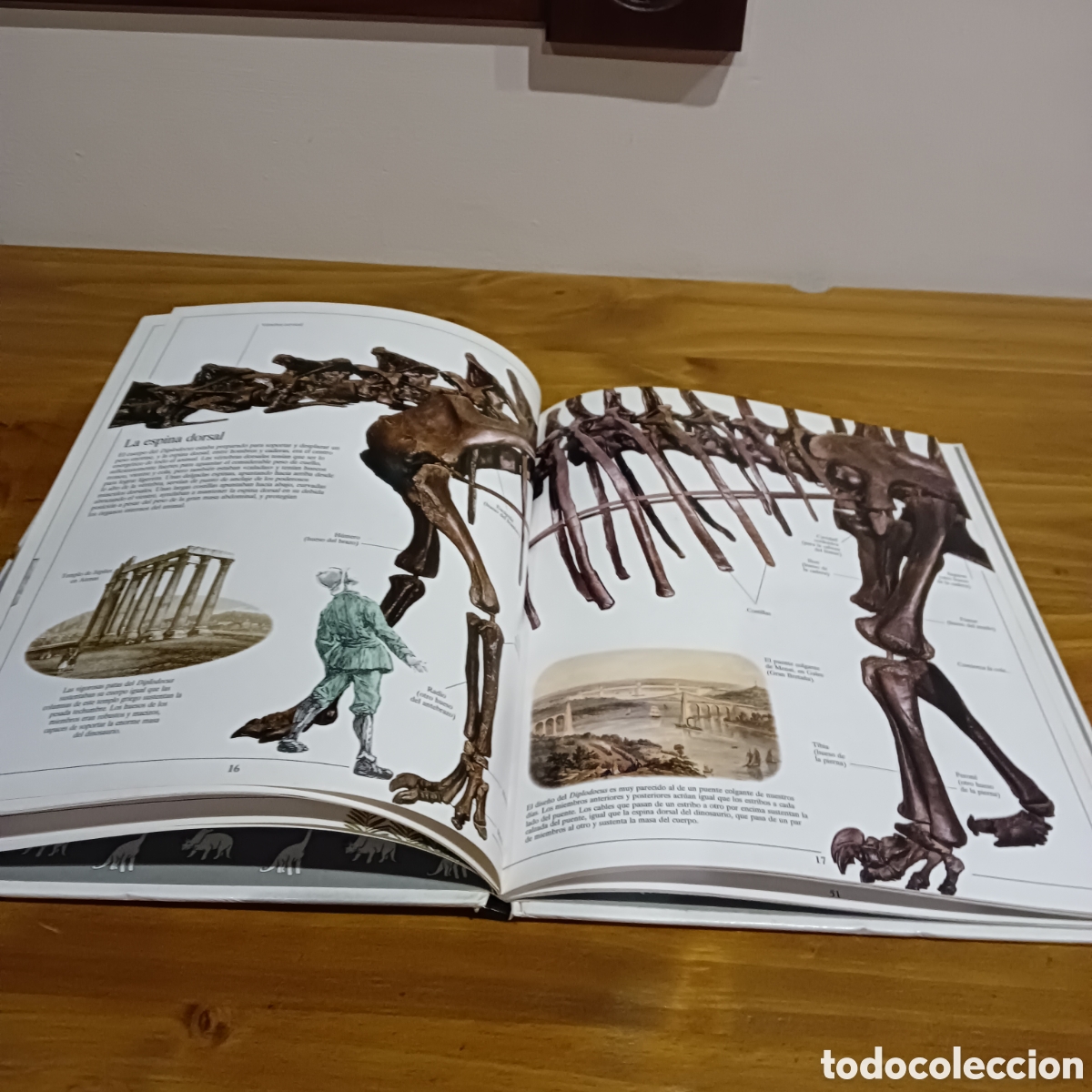 Libros de segunda mano: Los dinosaurios. Biblioteca visual altea - Foto 4