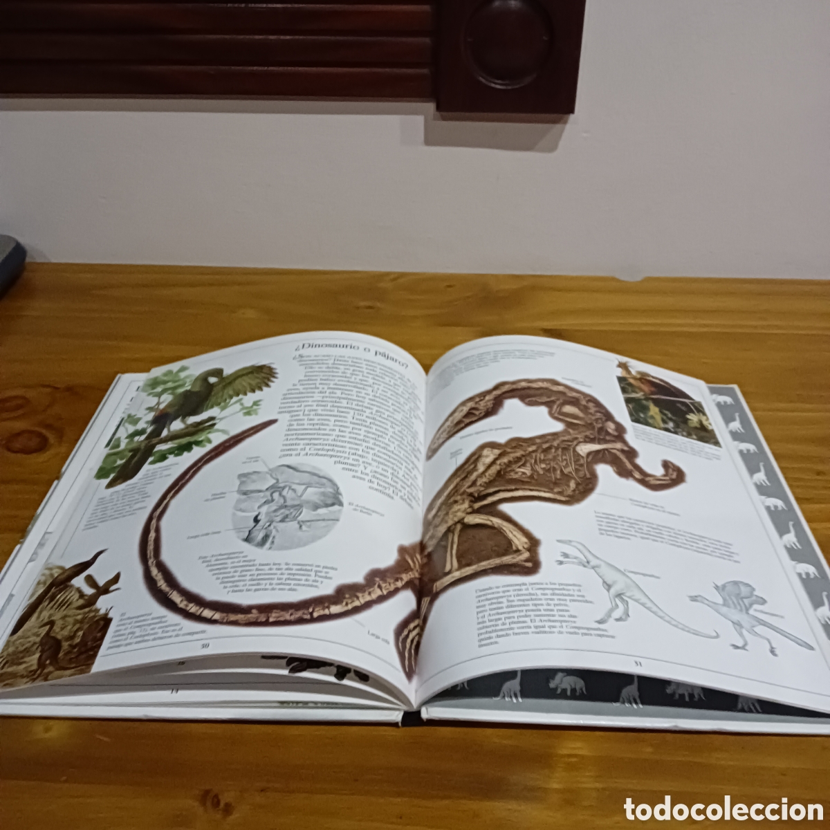 Libros de segunda mano: Los dinosaurios. Biblioteca visual altea - Foto 5
