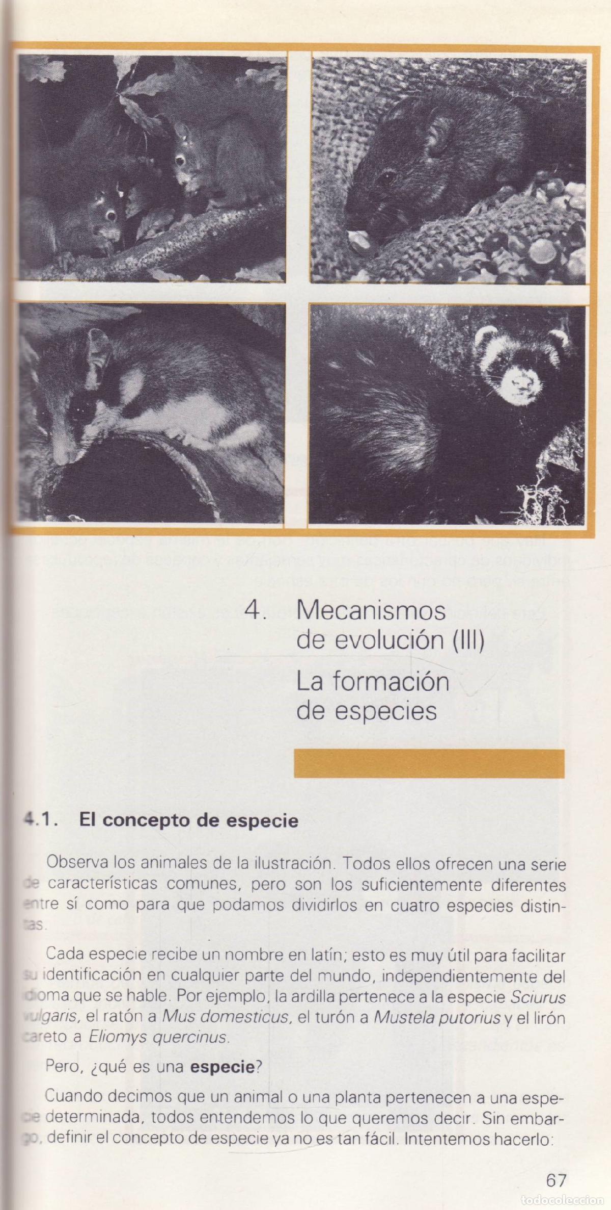 Libros de segunda mano: Evolucion - Cabello, Montserrat - Foto 2