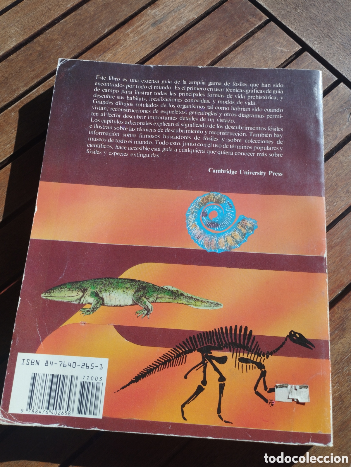 Libros de segunda mano: Guia de Cambridge de la vida prehistoria David Lambert EDAF 1988 - Foto 2