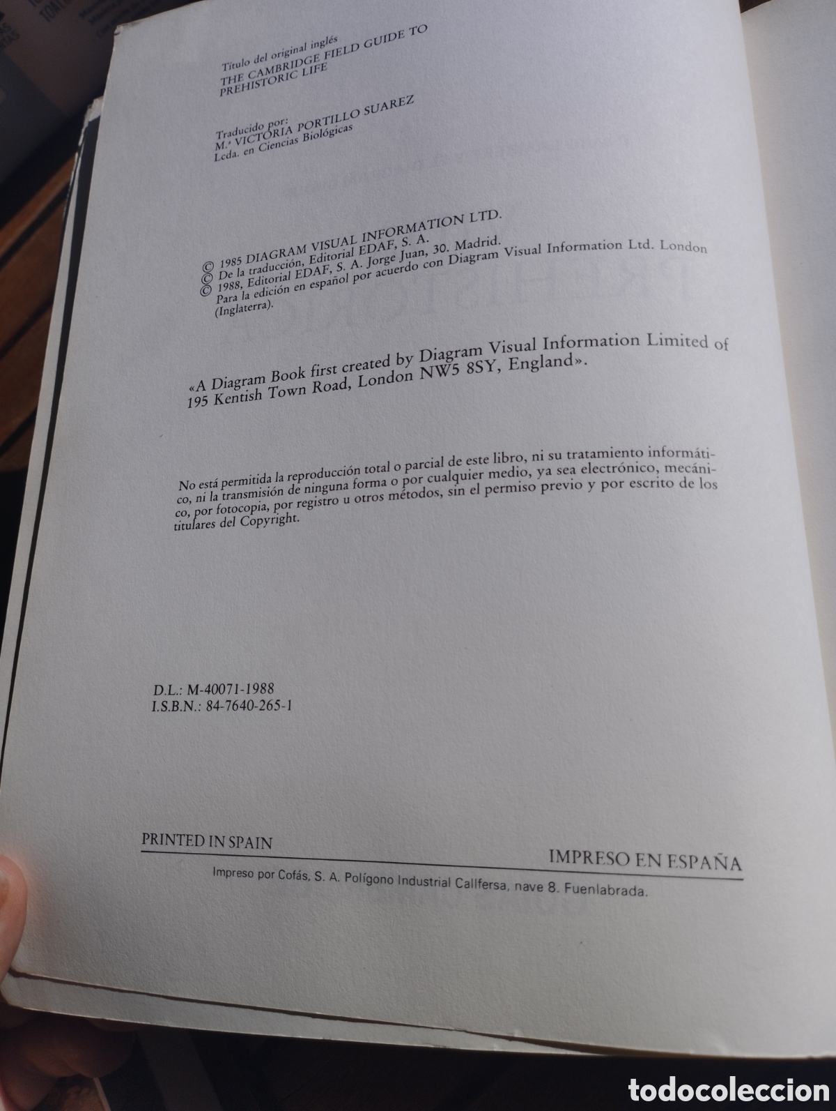Libros de segunda mano: Guia de Cambridge de la vida prehistoria David Lambert EDAF 1988 - Foto 3