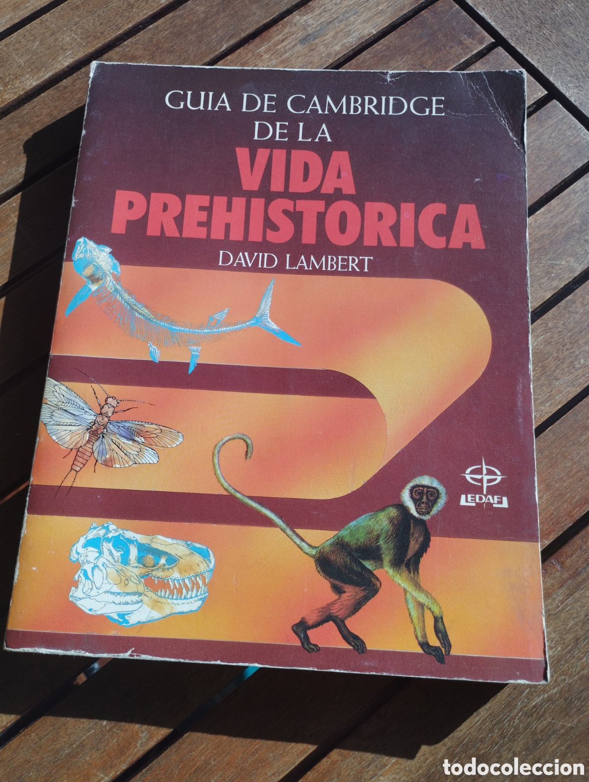 Libros de segunda mano: Guia de Cambridge de la vida prehistoria David Lambert EDAF 1988 - Foto 1